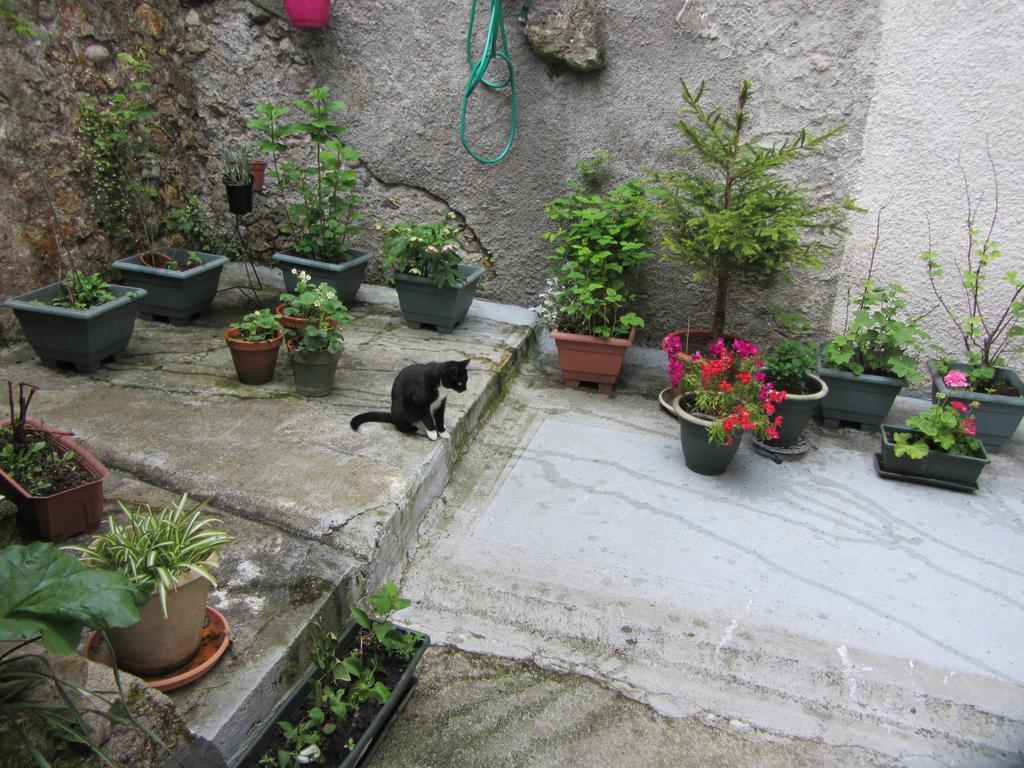 La Maison De Natasha Castillon-en-Couserans Exterior photo